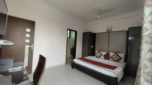 2BHK Vasant Kunj Apartment ILBS Hospital