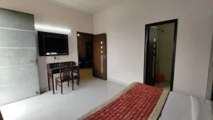 2BHK Vasant Kunj Apartment ILBS Hospital