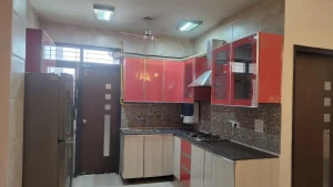 2BHK Vasant Kunj Apartment ILBS Hospital
