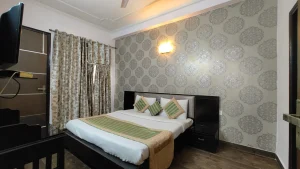 2BHK Vasant Kunj Apartment ILBS Hospital