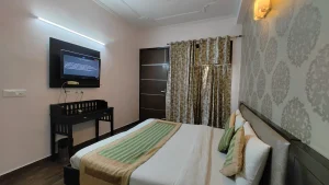 2BHK Vasant Kunj Apartment ILBS Hospital