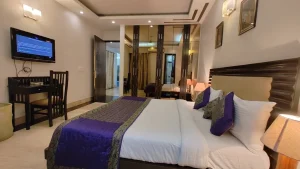 3 BHK Service Apartment in Greater Kailash-1