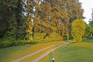 5 Bedroom Furnished Farmhouse Westend Greens