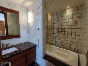 4 BHK Apartment for Rent in Vasant Vihar