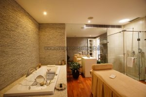 5 BHK Furnished Apartment Panchsheel Park