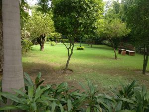 6 BHK Farmhouse for Rent in DLF Chhatarpur