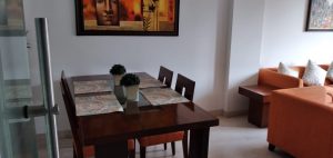 3 BHK Furnished Apartment Anand Niketan