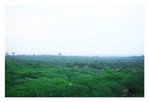 2 BHK Service Apartment Fortis Hospital Vasant Kunj