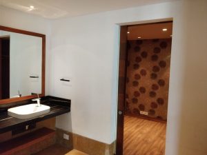 DLF Park Place Gurugram (Gurgaon) – 3 & 4 BHK Apartments for Rent