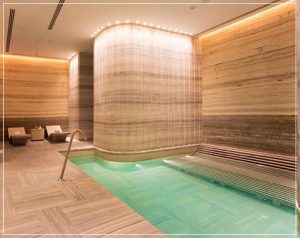 DLF the Camellias - 4BHK Furnished Apartments