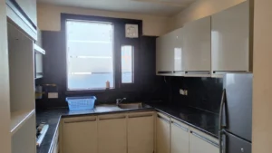 3BHK Apartment Saket Near Max Hospital-01209