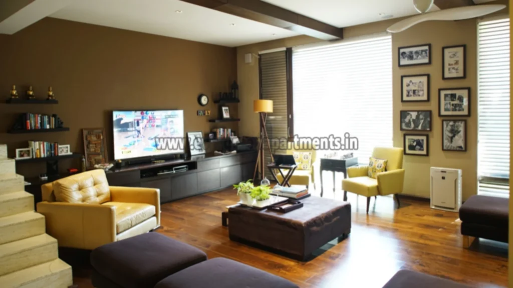 furnished-cat-home simple002