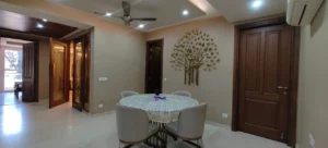 3 BHK Defence Colony C-Block-000733