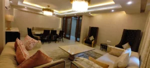 3 BHK Defence Colony C-Block-012