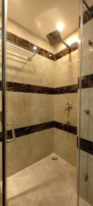 3 BHK Defence Colony C-Block-3030