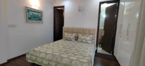 3 BHK Luxury Apartment Near Jawahar Lal Nehru Stadium-0000
